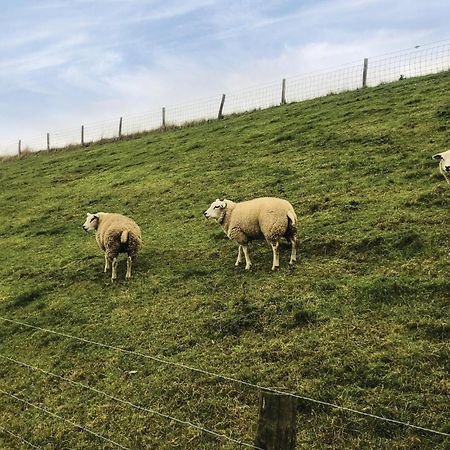 Hoeve Alegria Hoogwoud Zewnętrze zdjęcie